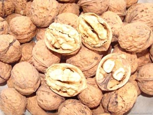 南京科進(jìn)教你核桃健腦小竅門 經(jīng)顱多普勒